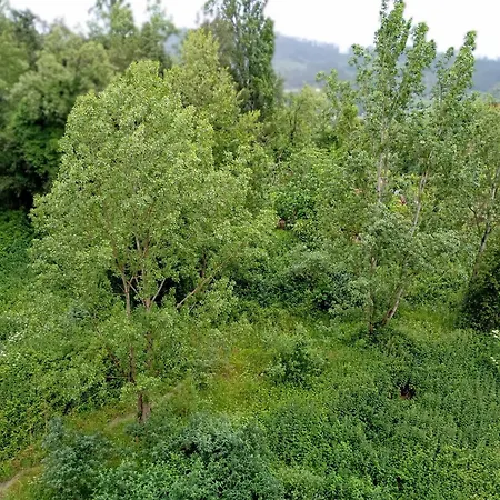 Reservaserfisosmar Appartamento *